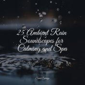 25 Ambient Rain Soundscapes for Calming and Spa