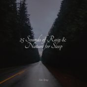 25 Sounds of Rain & Nature for Sleep