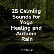 25 Calming Sounds for Yoga Healing and Autumn Rain