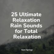 25 Ultimate Relaxation Rain Sounds for Total Relaxation