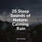 25 Sleep Sounds of Nature: Calming Rain