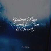 Ambient Rain Sounds for Spa & Serenity