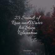 25 Sounds of Rain and Water for Sleep Relaxation