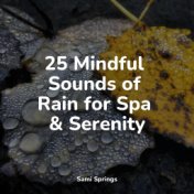 25 Mindful Sounds of Rain for Spa & Serenity