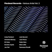 Flexbeat Records - Various Artists Vol. 3