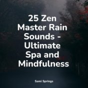 25 Zen Master Rain Sounds - Ultimate Spa and Mindfulness