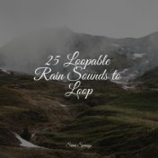 25 Loopable Rain Sounds to Loop