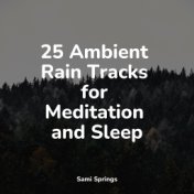 25 Ambient Rain Tracks for Meditation and Sleep