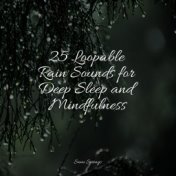 25 Loopable Rain Sounds for Deep Sleep and Mindfulness