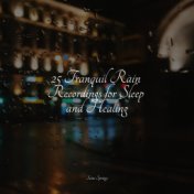 25 Tranquil Rain Recordings for Sleep and Healing