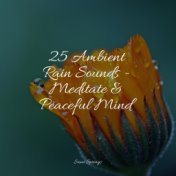 25 Ambient Rain Sounds - Meditate & Peaceful Mind