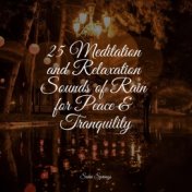 25 Meditation and Relaxation Sounds of Rain for Peace & Tranquility