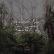 25 Loopable Rain Sounds - Calming Sounds for Serenity