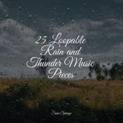 25 Loopable Rain and Thunder Music Pieces