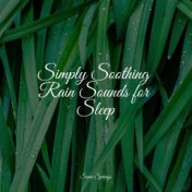 Simply Soothing Rain Sounds for Sleep