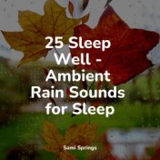 25 Sleep Well - Ambient Rain Sounds for Sleep