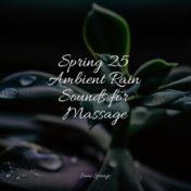 Spring 25 Ambient Rain Sounds for Massage