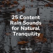 25 Content Rain Sounds for Natural Tranquility