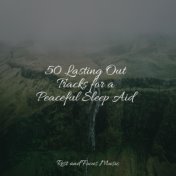 50 Lasting Out Tracks for a Peaceful Sleep Aid