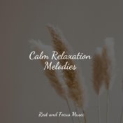 Calm Relaxation Melodies