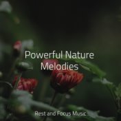Powerful Nature Melodies
