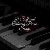 50 Soft and Calming Piano Songs