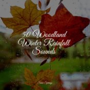50 Woodland Winter Rainfall Sounds