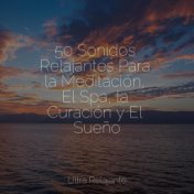 50 Sonidos Relajantes Para la Meditación, El Spa, la Curación y El Sueño