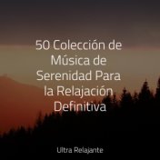 50 Colección de Música de Serenidad Para la Relajación Definitiva