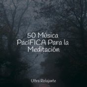 50 Música PacíFICA Para la Meditación