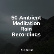 50 Tracks to Relax & Healing Rain