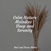 Calm Nature Melodies | Sleep and Serenity