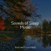 Sounds of Sleep Music