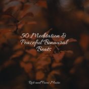 50 Meditation & Peaceful Binaural Beats
