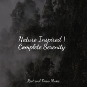 Nature Inspired | Complete Serenity