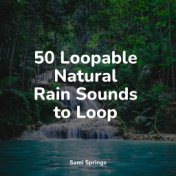 50 Loopable Natural Rain Sounds to Loop