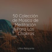 50 Colección de Música de Meditación Para Los Chakras