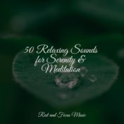 50 Relaxing Sounds for Serenity & Meditation