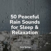 50 Peaceful Rain Sounds for Sleep & Relaxation