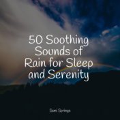 50 Soothing Sounds of Rain for Sleep and Serenity