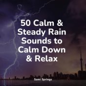Peaceful Rain Sounds for Meditation