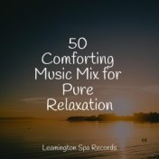 50 Comforting Music Mix for Pure Relaxation