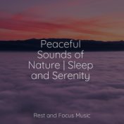 Peaceful Sounds of Nature | Sleep and Serenity