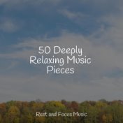 50 Deeply Relaxing Music Pieces