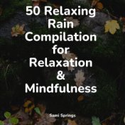 50 Relaxing Loopable Rain Recordings for Stress Relief