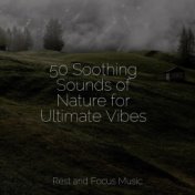 50 Soothing Sounds of Nature for Ultimate Vibes