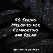 50 Spring Melodies for Comforting and Relax