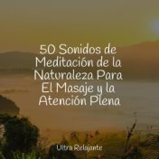 50 Sonidos de Meditación de la Naturaleza Para El Masaje y la Atención Plena