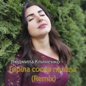 Горіла сосна палала (Remix)