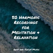 50 Harmonic Recordings for Meditation & Relaxation